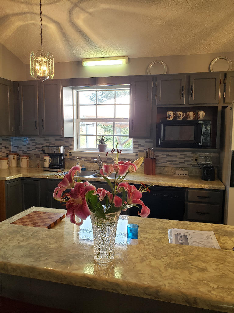 108 Springview Drive Gray, TN 37615 - Photo 3 of 17 02
