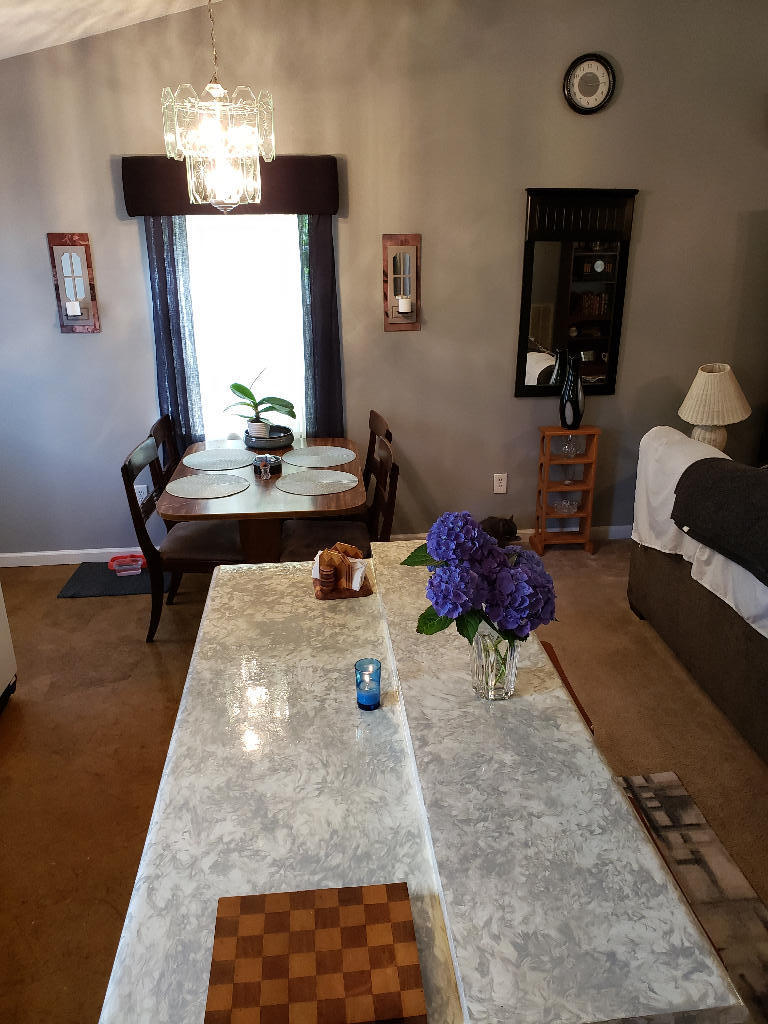 108 Springview Drive Gray, TN 37615 - Photo 4 of 17 03
