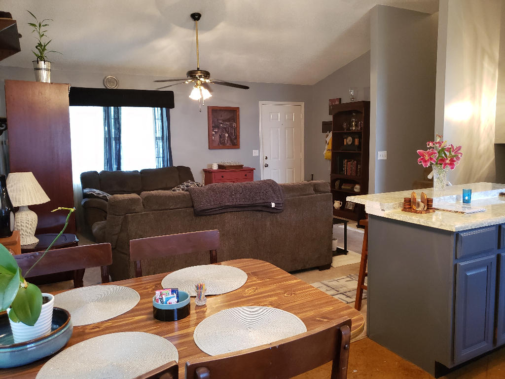 108 Springview Drive Gray, TN 37615 - Photo 6 of 17 05