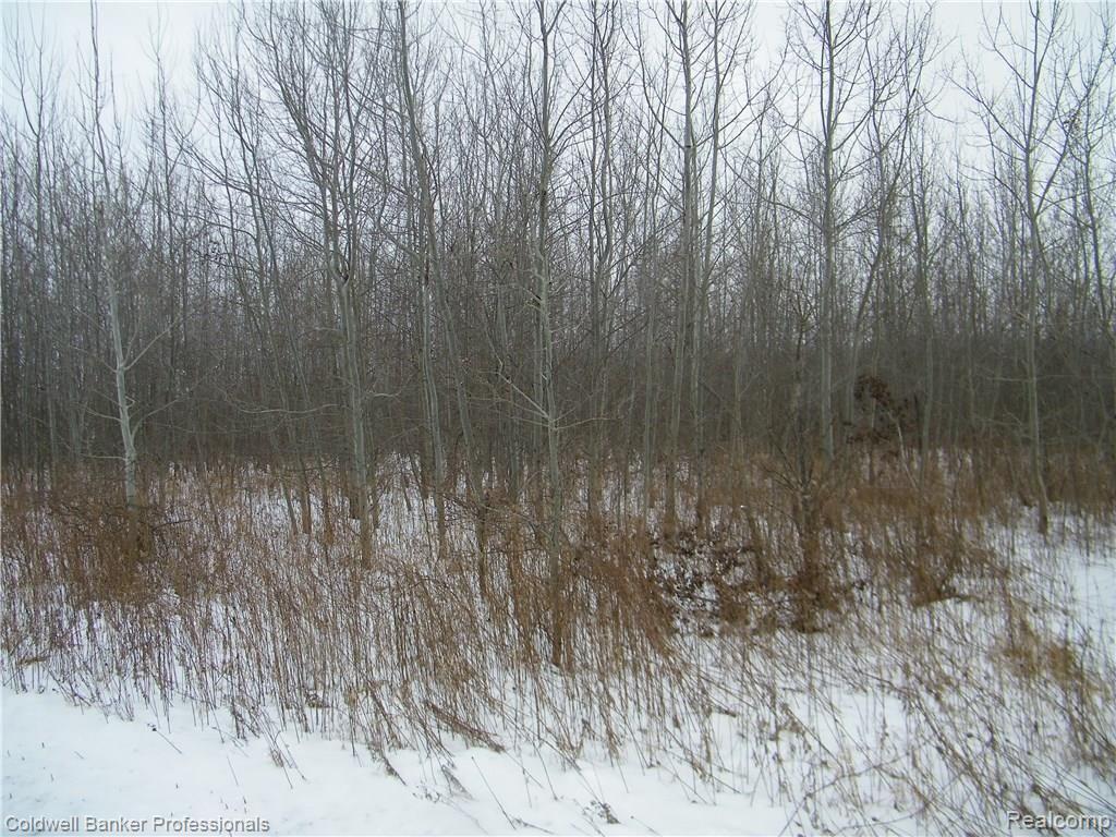 2-3 Burnside Rd Branch North Branch, MI 48461 - Photo 1 of 5