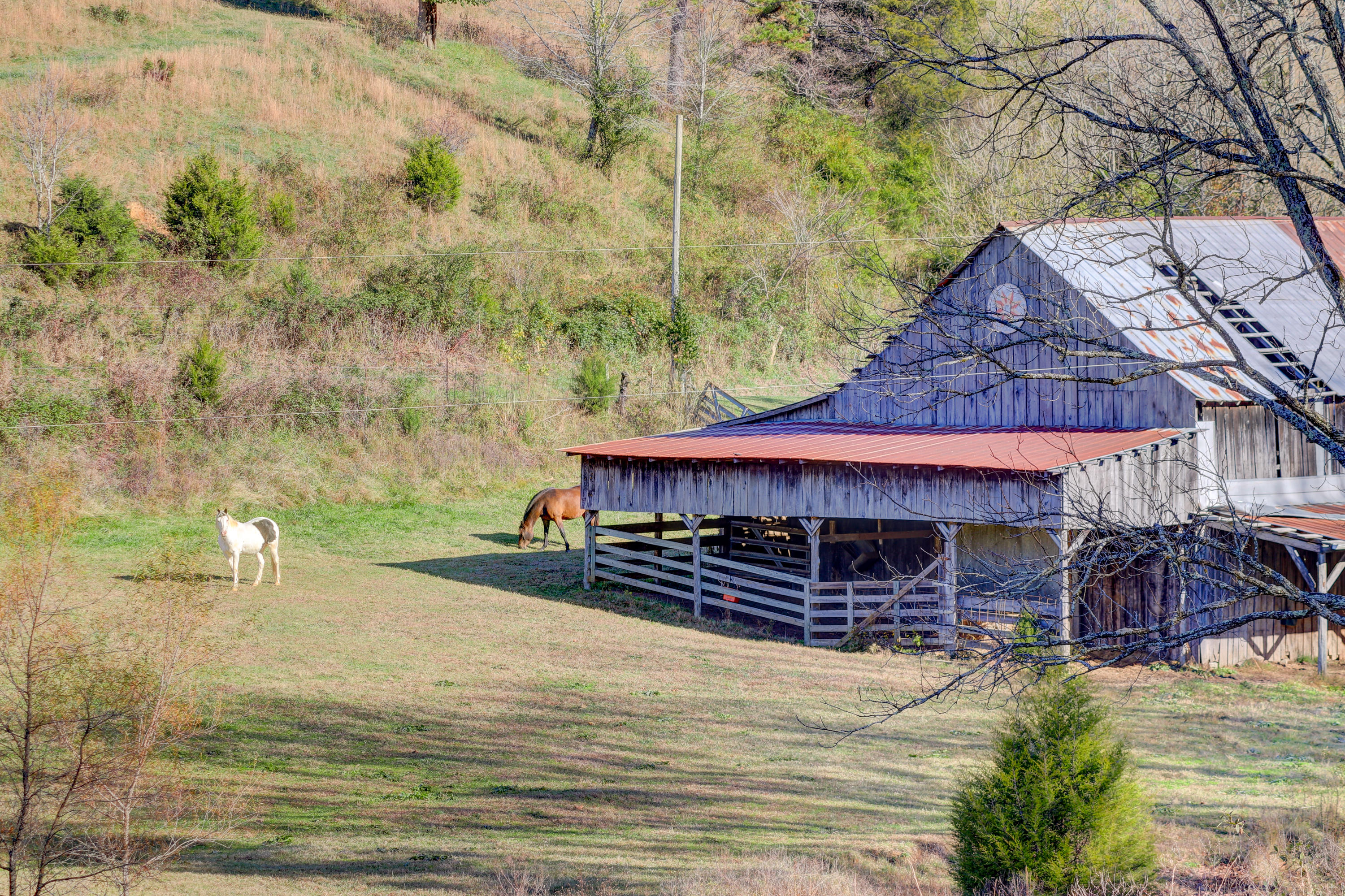 640 Hogskin Road Washburn, TN 37888 - Photo 19 of 22 Positive Perceptions-28