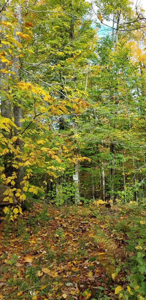 . Boomhower Road Lyon Mountain, NY 12952 - Photo 18 of 25 Gallery Image 18