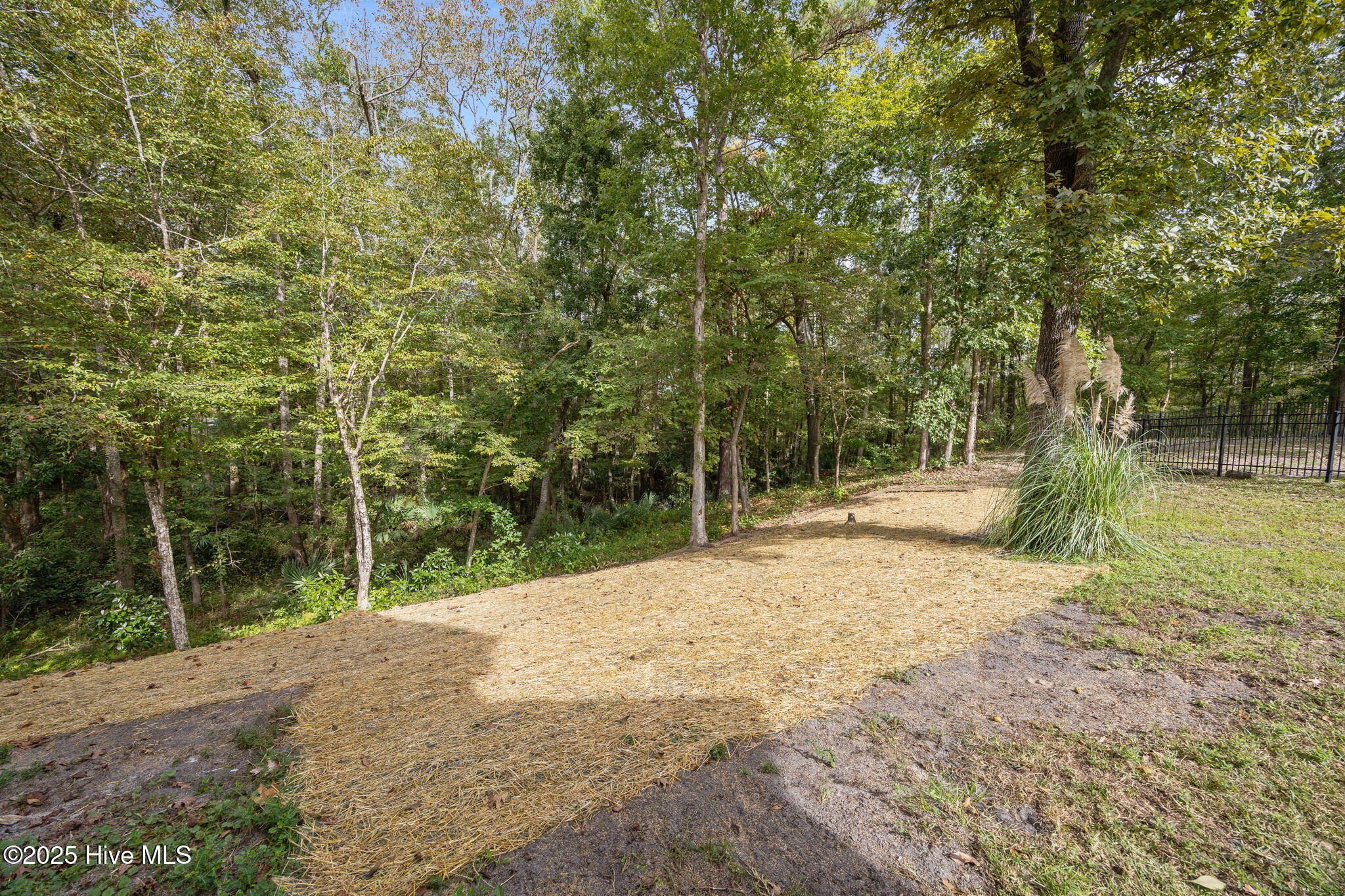 487 North Wild Rice Drive Southwest Supply, NC 28462 - Photo 38 of 48 17-web-or-mls-IMG_0622