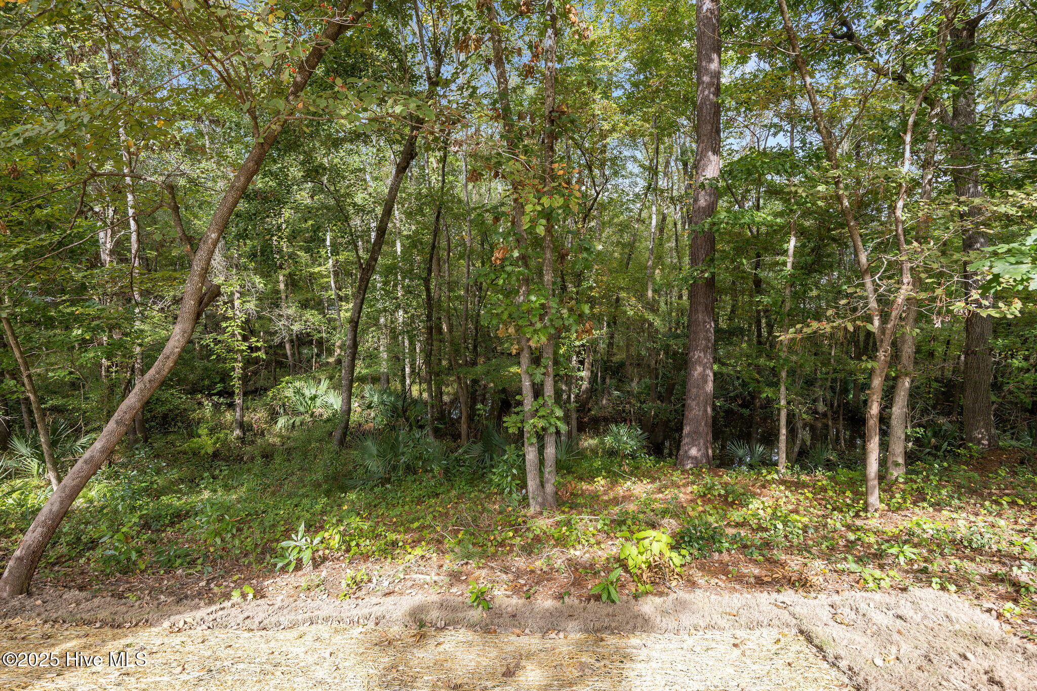 487 North Wild Rice Drive Southwest Supply, NC 28462 - Photo 39 of 48 18-web-or-mls-IMG_0623