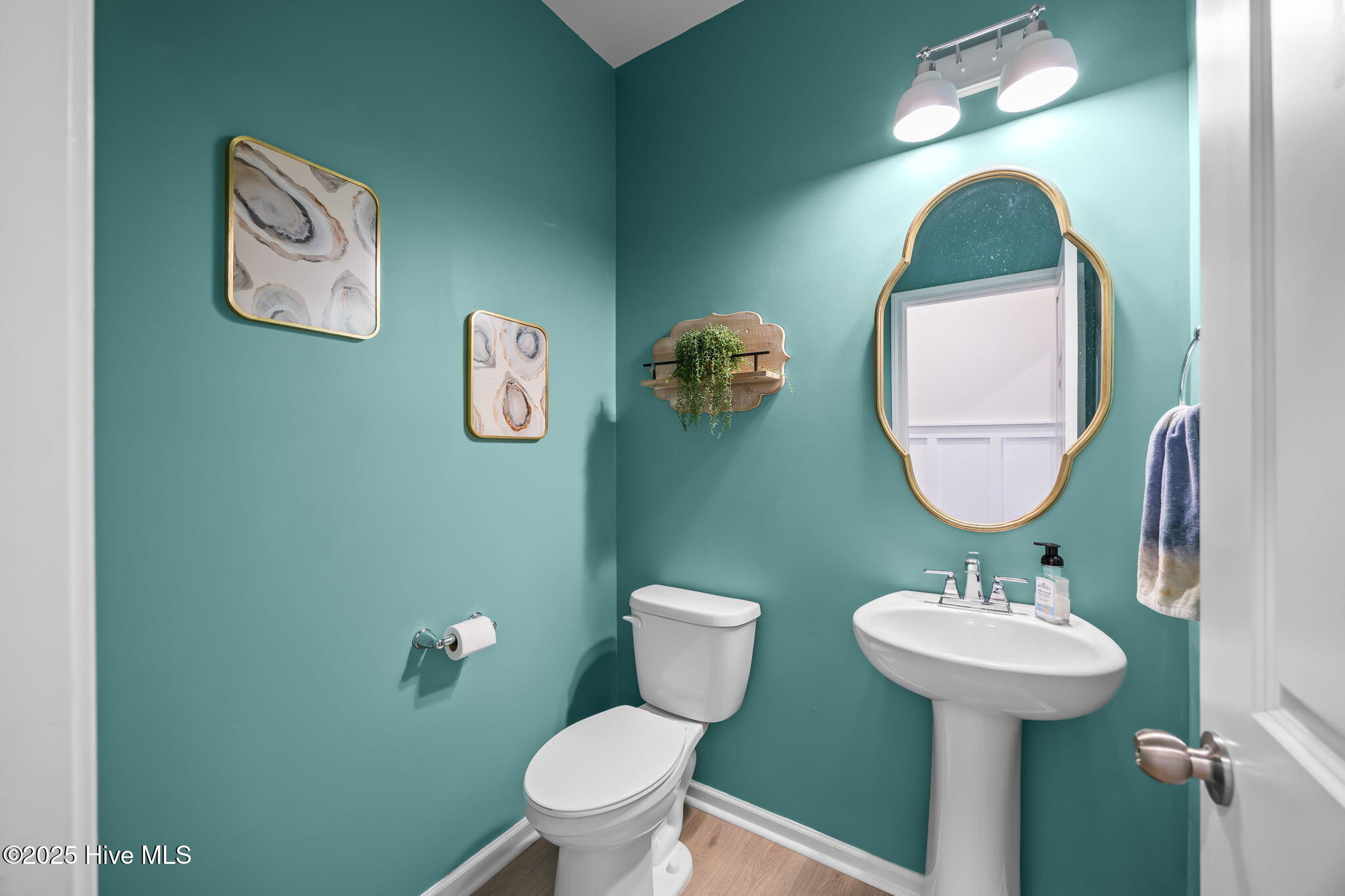 487 North Wild Rice Drive Southwest Supply, NC 28462 - Photo 6 of 48 34-web-or-mls-IMG_0690