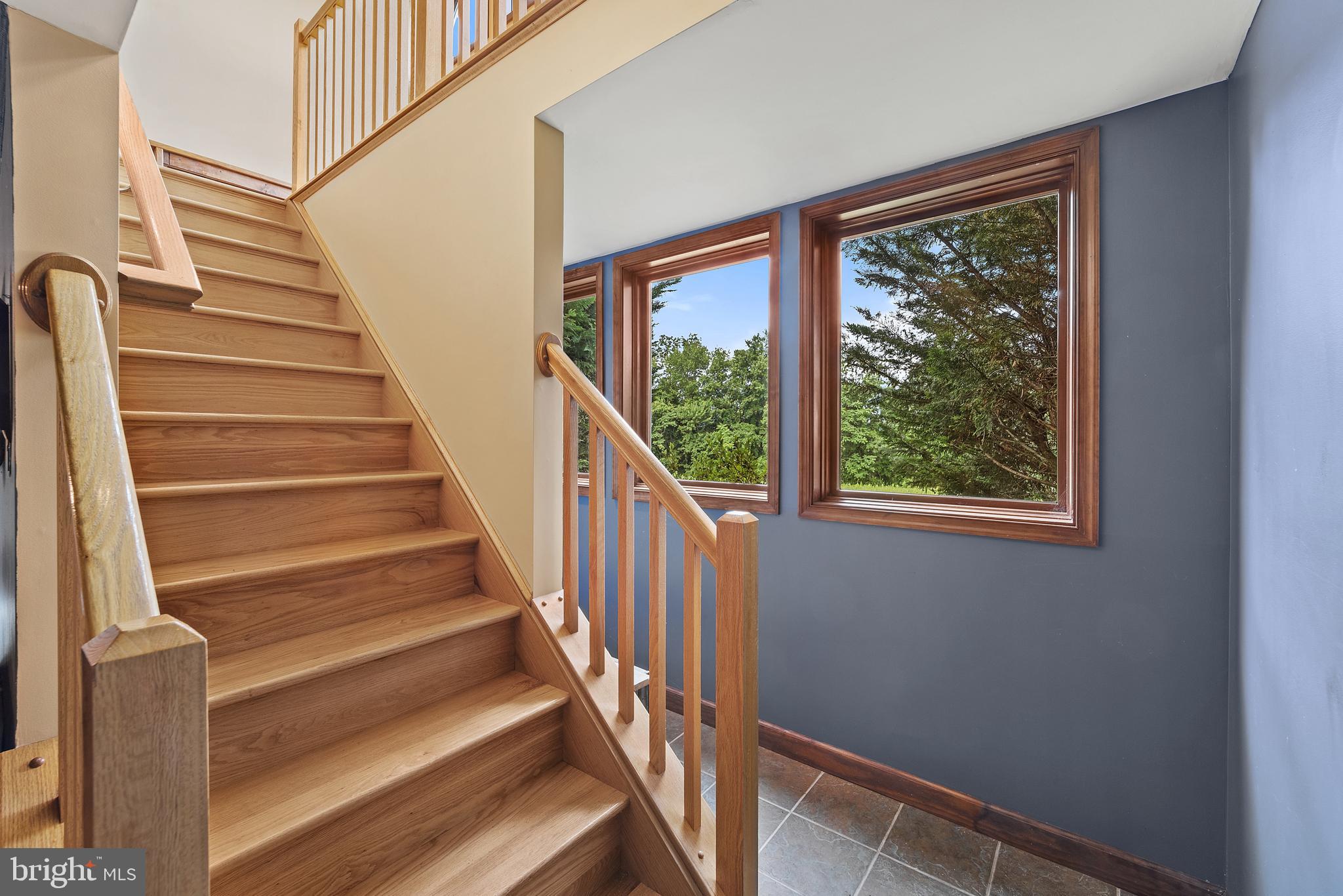 4386 Scotts Road Marshall, VA 20115 - Photo 40 of 67 Stairs to the basement