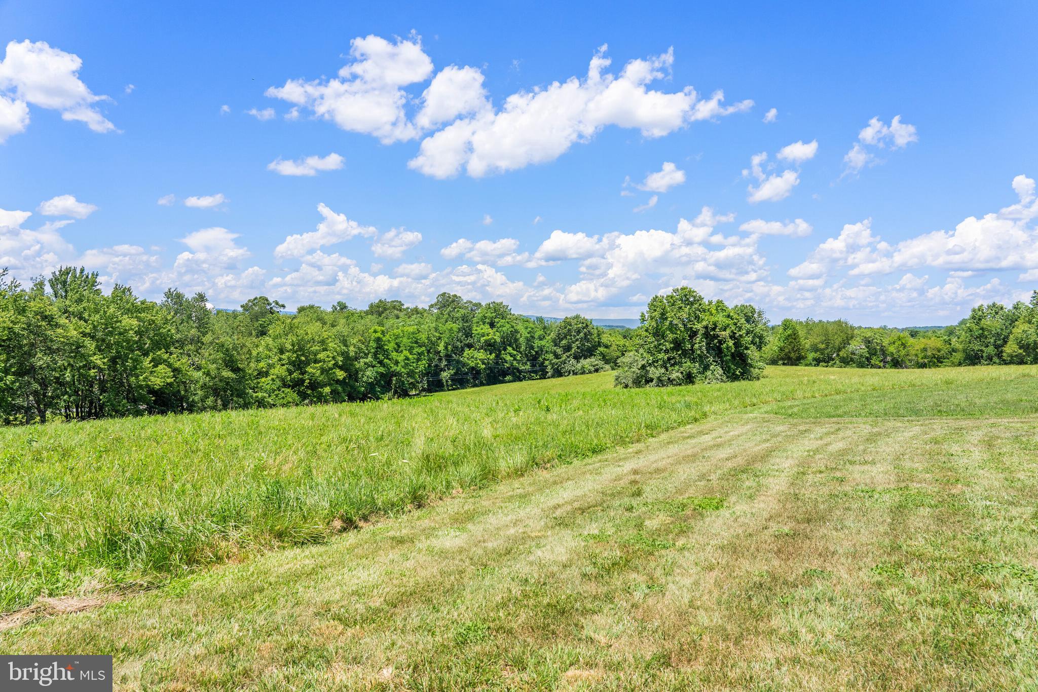 4386 Scotts Road Marshall, VA 20115 - Photo 65 of 67 Gallery Image 65