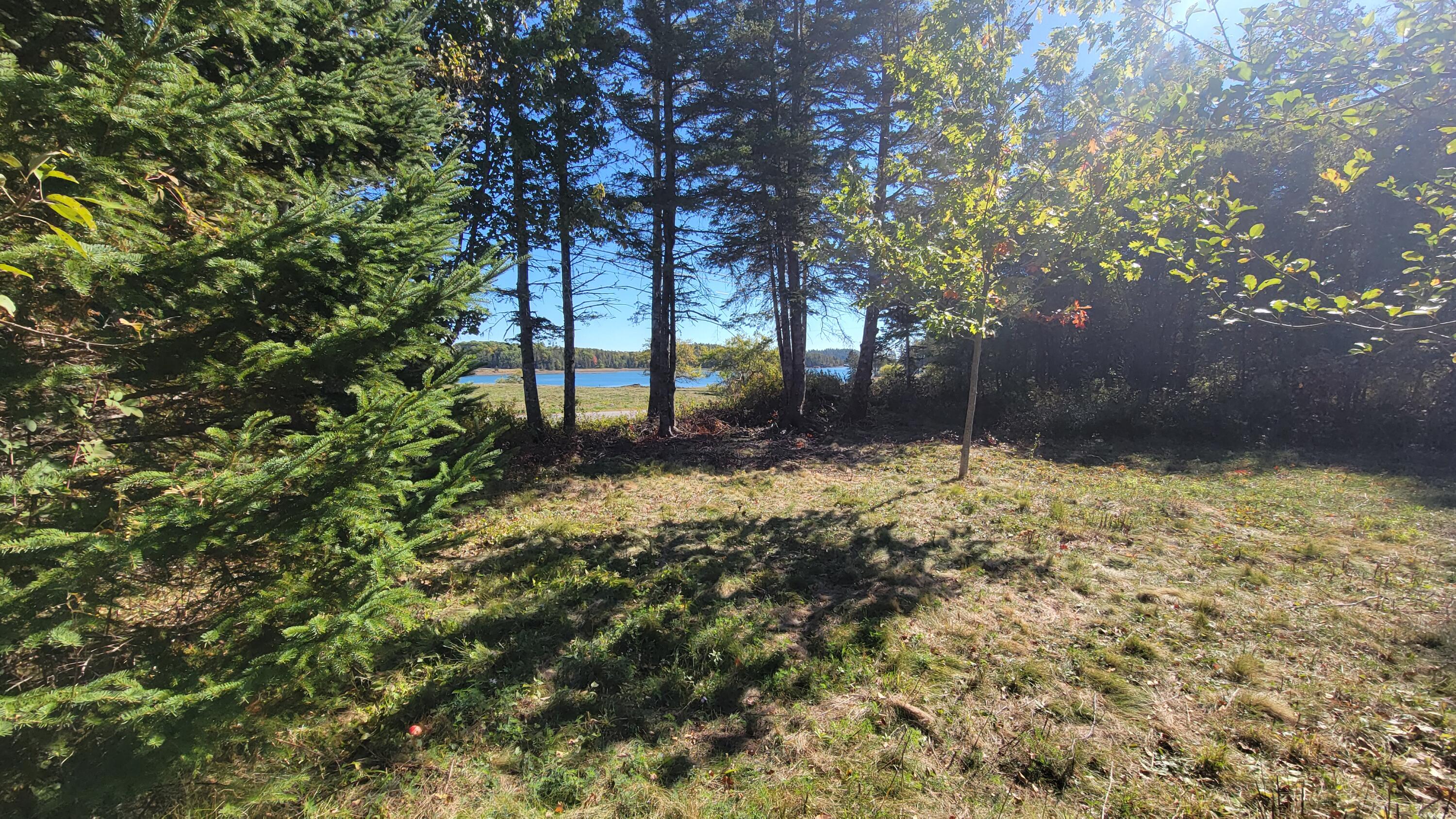 173 Leighton Point Road Pembroke, ME 04666 - Photo 4 of 54 20251003_104946