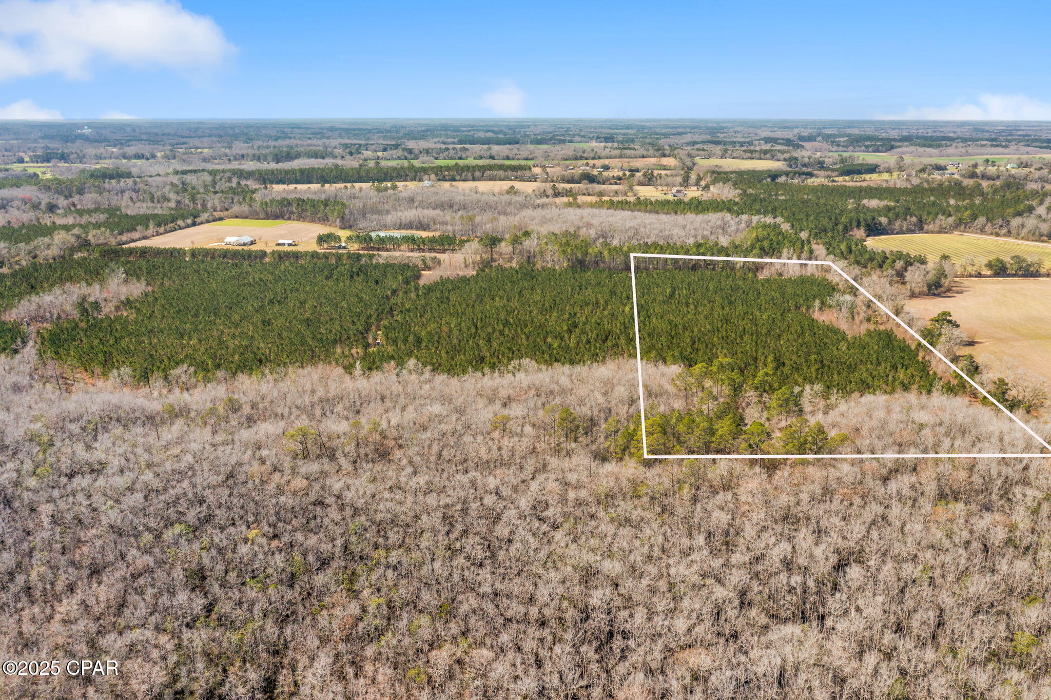 Lot 1 New Prospect Road Chipley, FL 32428 - Photo 3 of 19