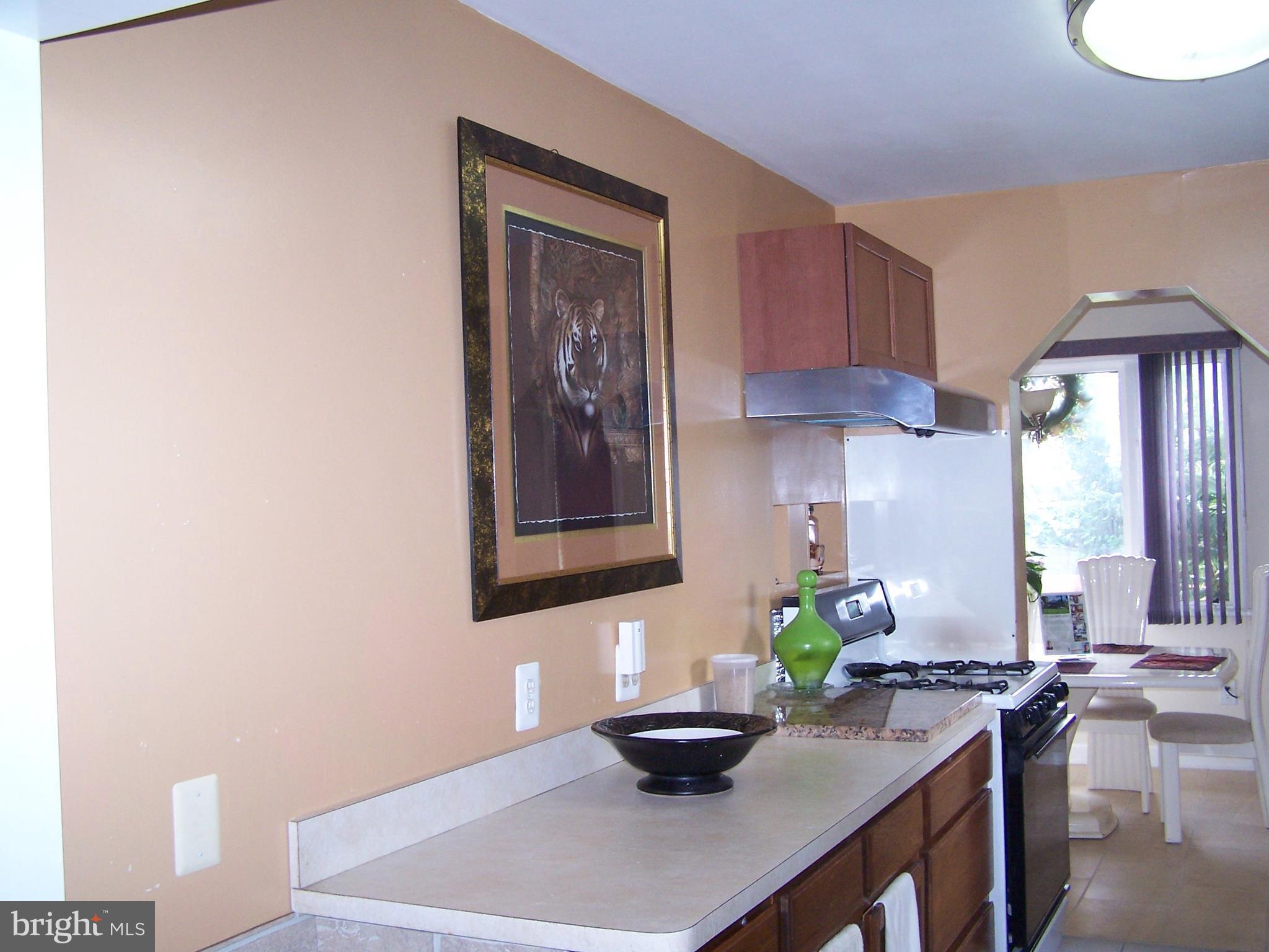 2826 Munson Street Silver Spring, MD 20902 - Photo 8 of 27 Kitchen