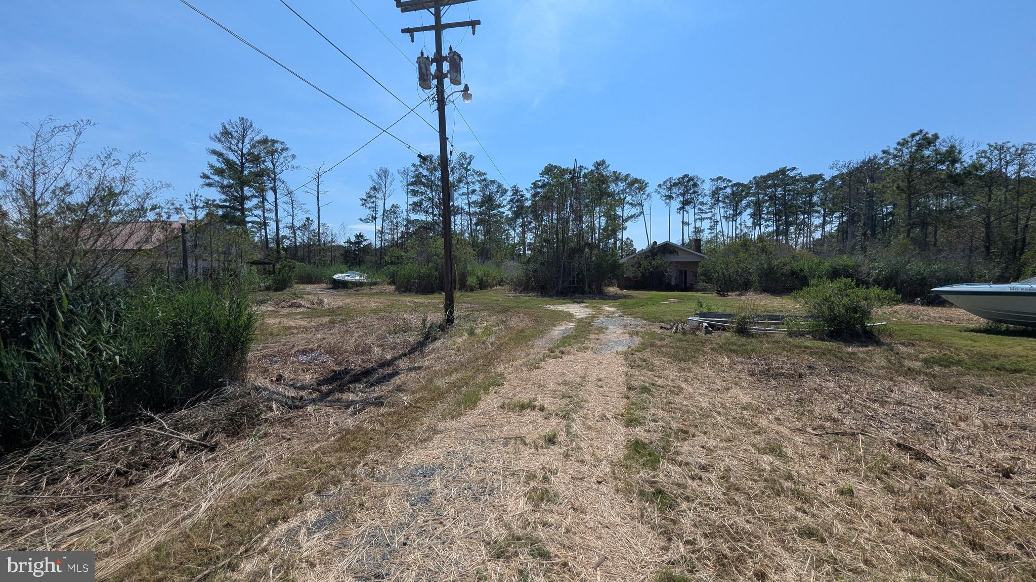 3012 William Maddox Road Crisfield, MD 21817 - Photo 11 of 20 a view of a park with a tree