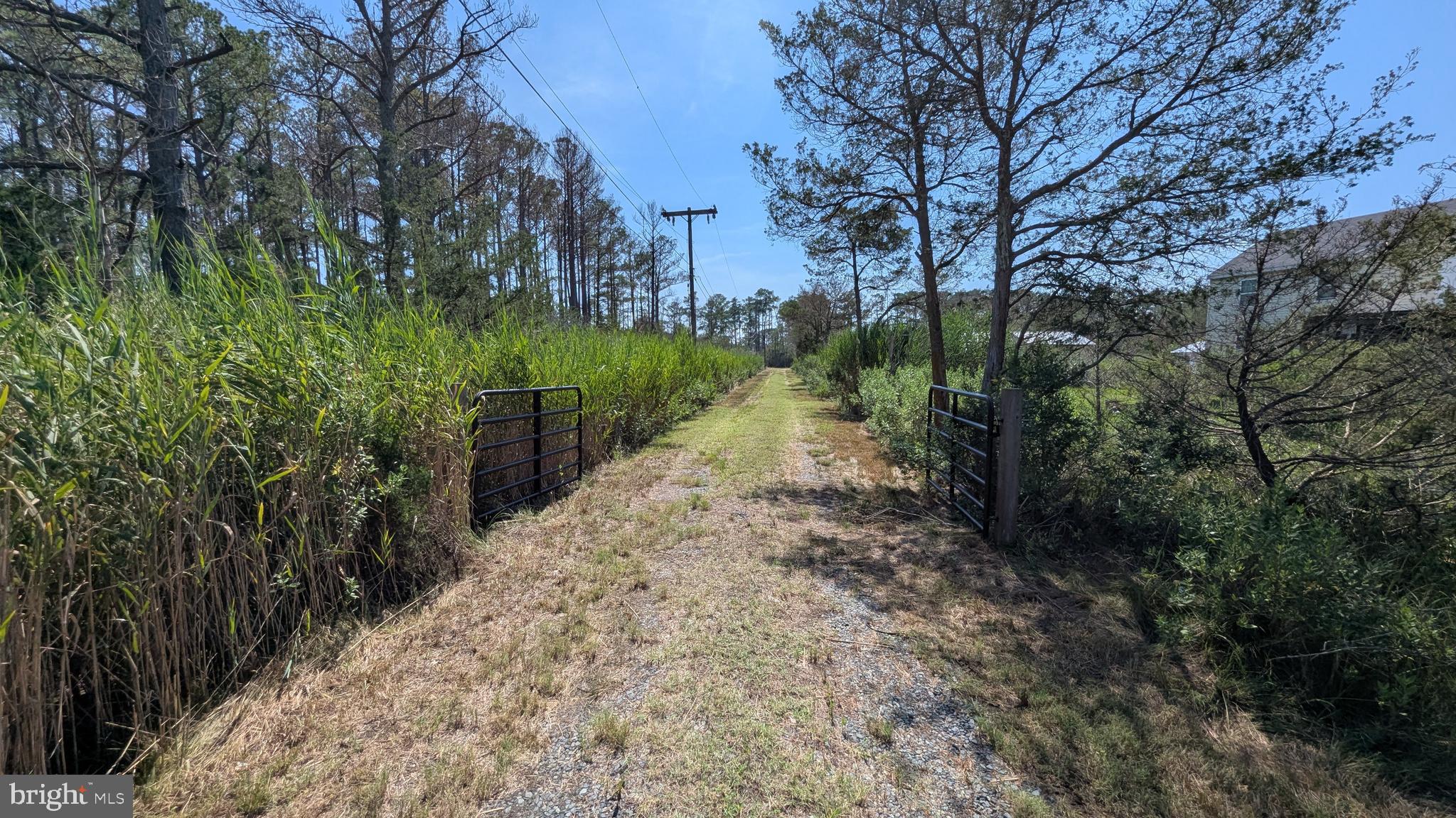 3012 William Maddox Road Crisfield, MD 21817 - Photo 12 of 20 a view of a pathway with a yard