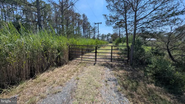 a view of a yard with wooden fence