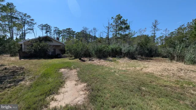 a view of outdoor space with green field