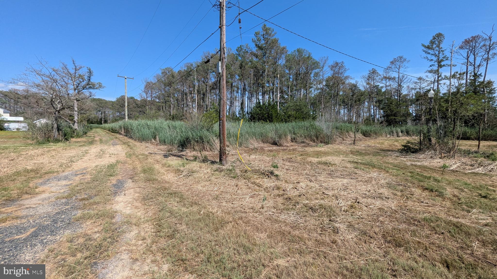 3012 William Maddox Road Crisfield, MD 21817 - Photo 9 of 20 a view of outdoor space with trees all around
