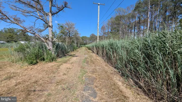 a view of a backyard of the house