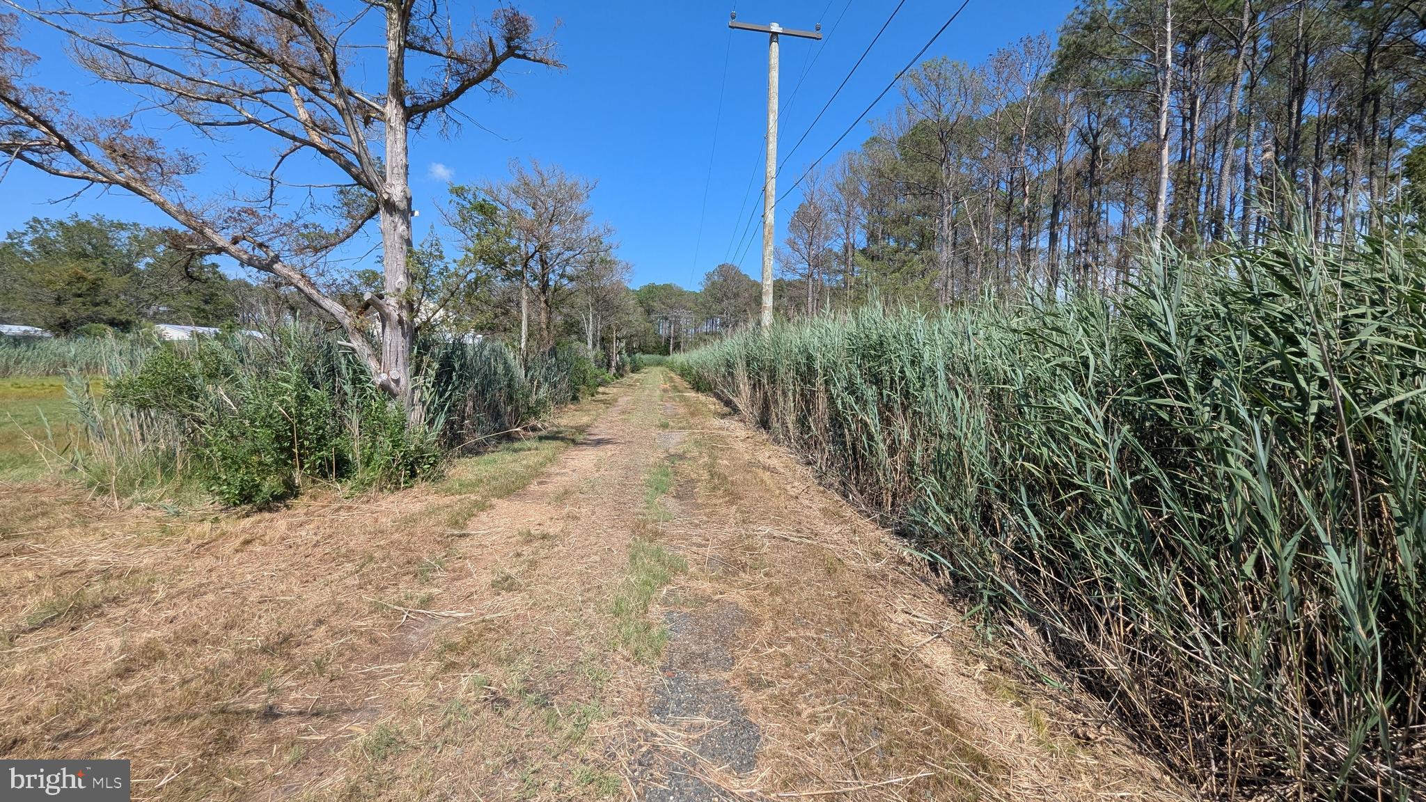 3012 William Maddox Road Crisfield, MD 21817 - Photo 10 of 20 a view of a backyard of the house