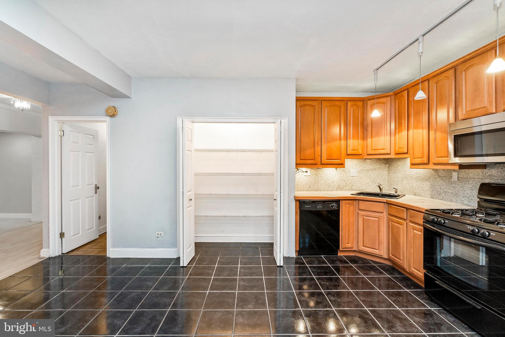221 Ridgemede Road, Unit 204 Baltimore, MD 21210 - Photo 9 of 18 Plenty of Pantry Storage