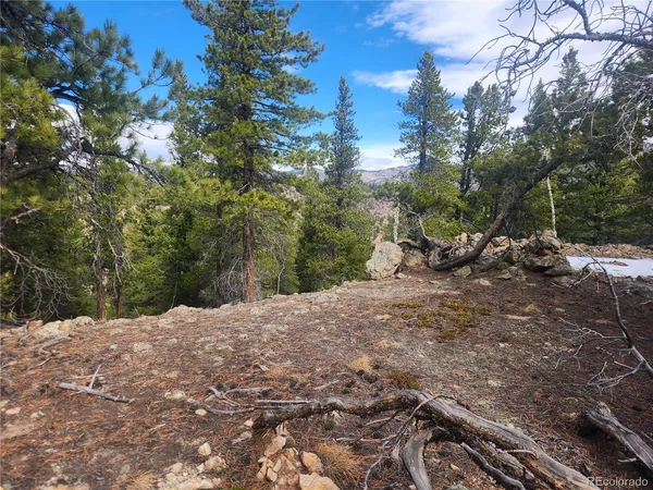 $219,000 | Vacant Land On Vacant Land On Fools Gold Road, Idaho Springs, CO 80452