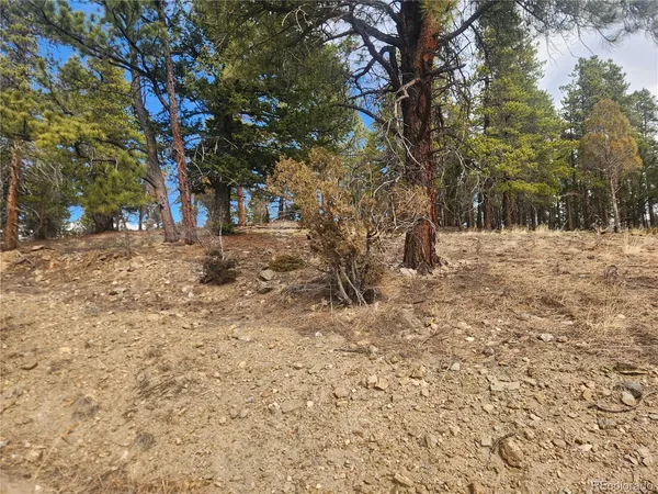 $219,000 | Vacant Land On Vacant Land On Fools Gold Road, Idaho Springs, CO 80452