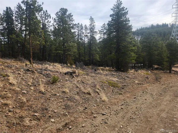 $219,000 | Vacant Land On Vacant Land On Fools Gold Road, Idaho Springs, CO 80452