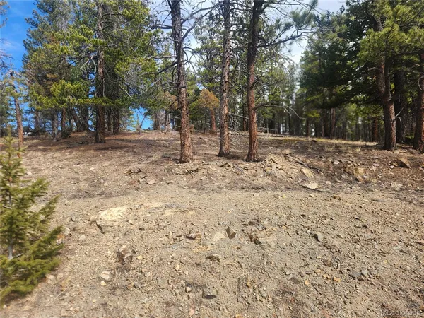 $219,000 | Vacant Land On Vacant Land On Fools Gold Road, Idaho Springs, CO 80452