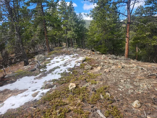$219,000 | Vacant Land On Vacant Land On Fools Gold Road, Idaho Springs, CO 80452