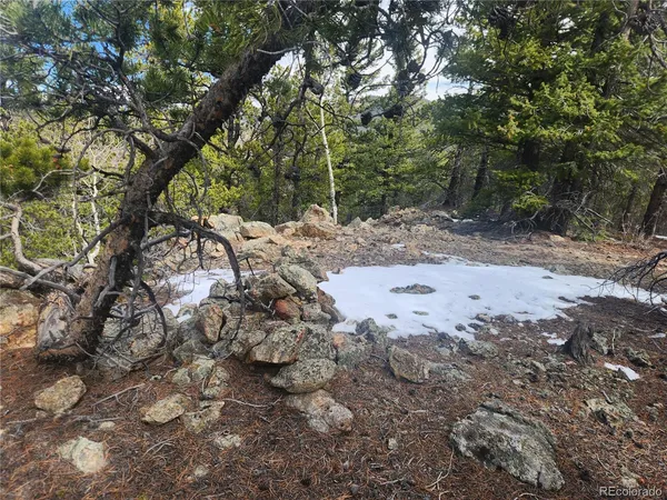 $219,000 | Vacant Land On Vacant Land On Fools Gold Road, Idaho Springs, CO 80452