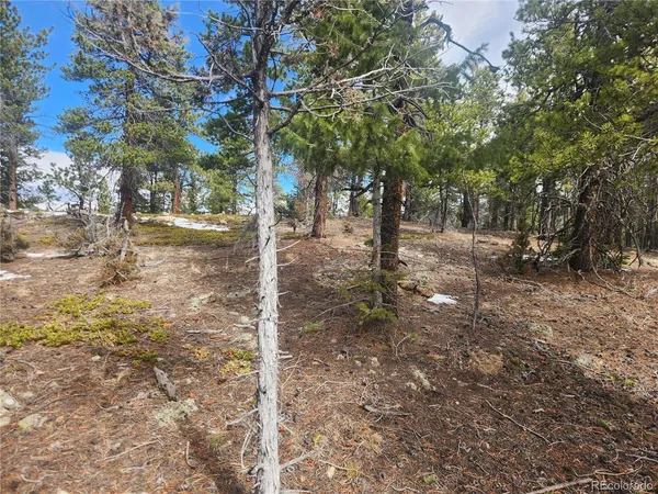 $219,000 | Vacant Land On Vacant Land On Fools Gold Road, Idaho Springs, CO 80452