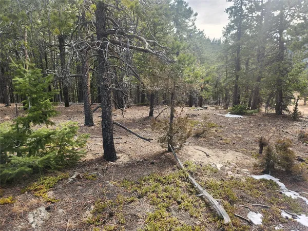 $219,000 | Vacant Land On Vacant Land On Fools Gold Road, Idaho Springs, CO 80452