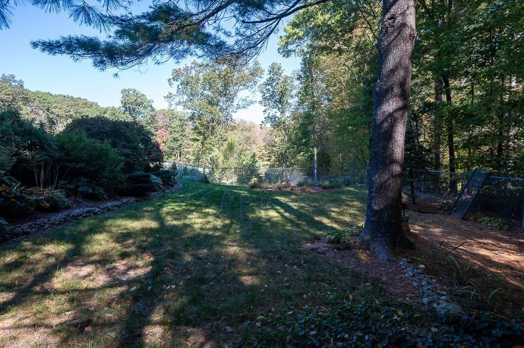 62 Larned Road Oxford, MA 01540 - Photo 34 of 42 a yard with lots of trees