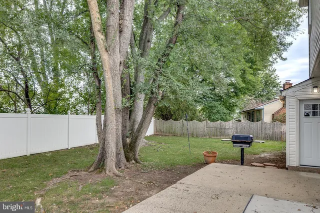 a view of a backyard with large trees