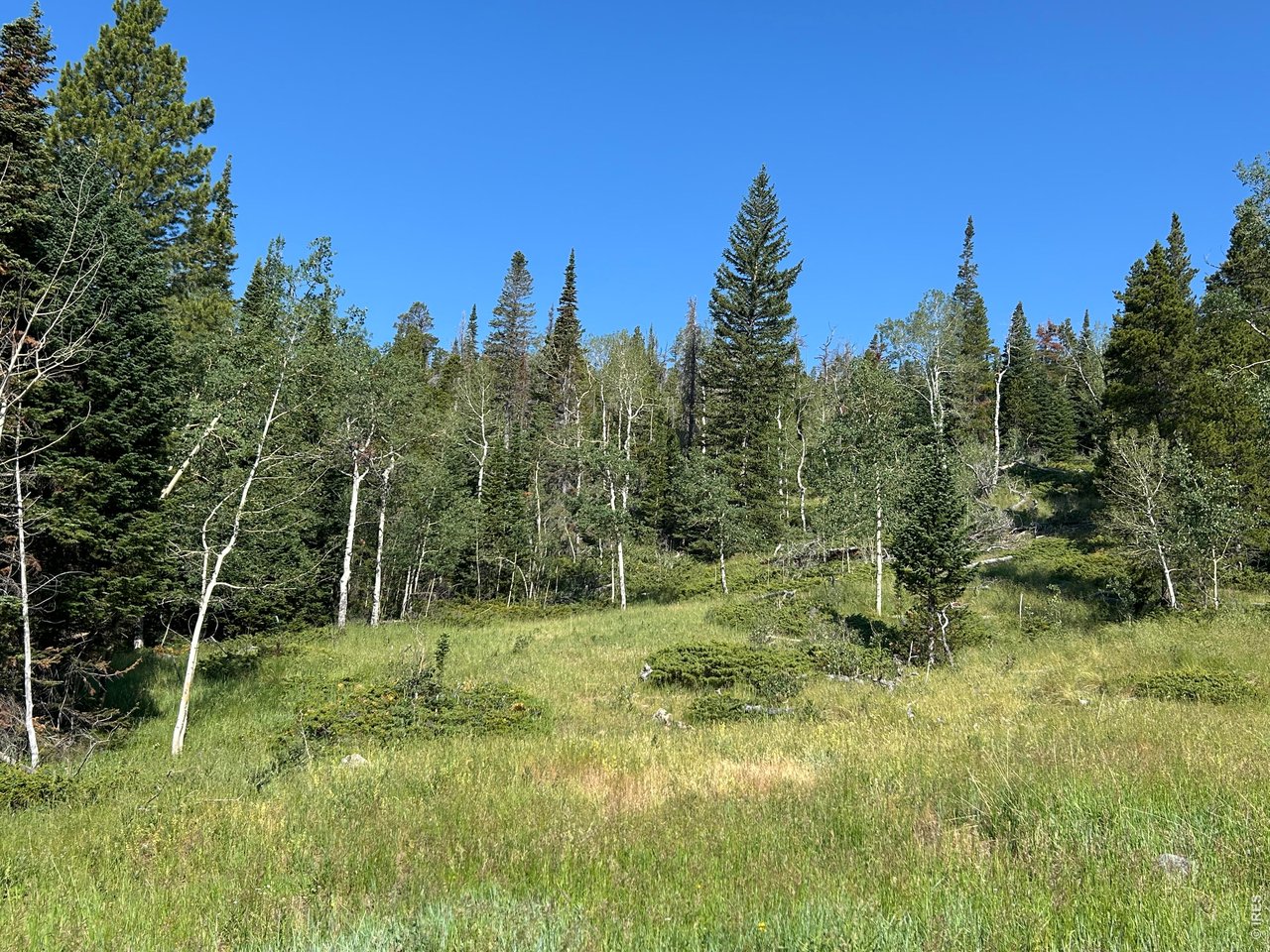 506 Elkridge Road Red Feather Lakes, CO 80545 - Photo 20 of 25