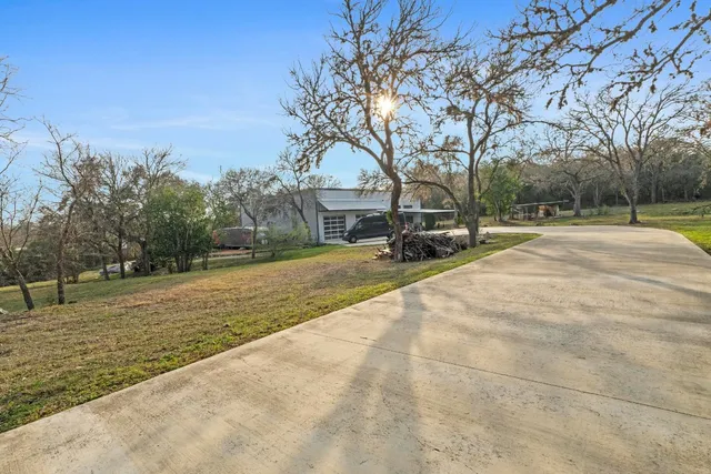 a view of a yard with plants and trees
