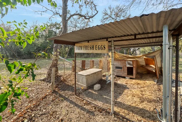 a view of yard with tree