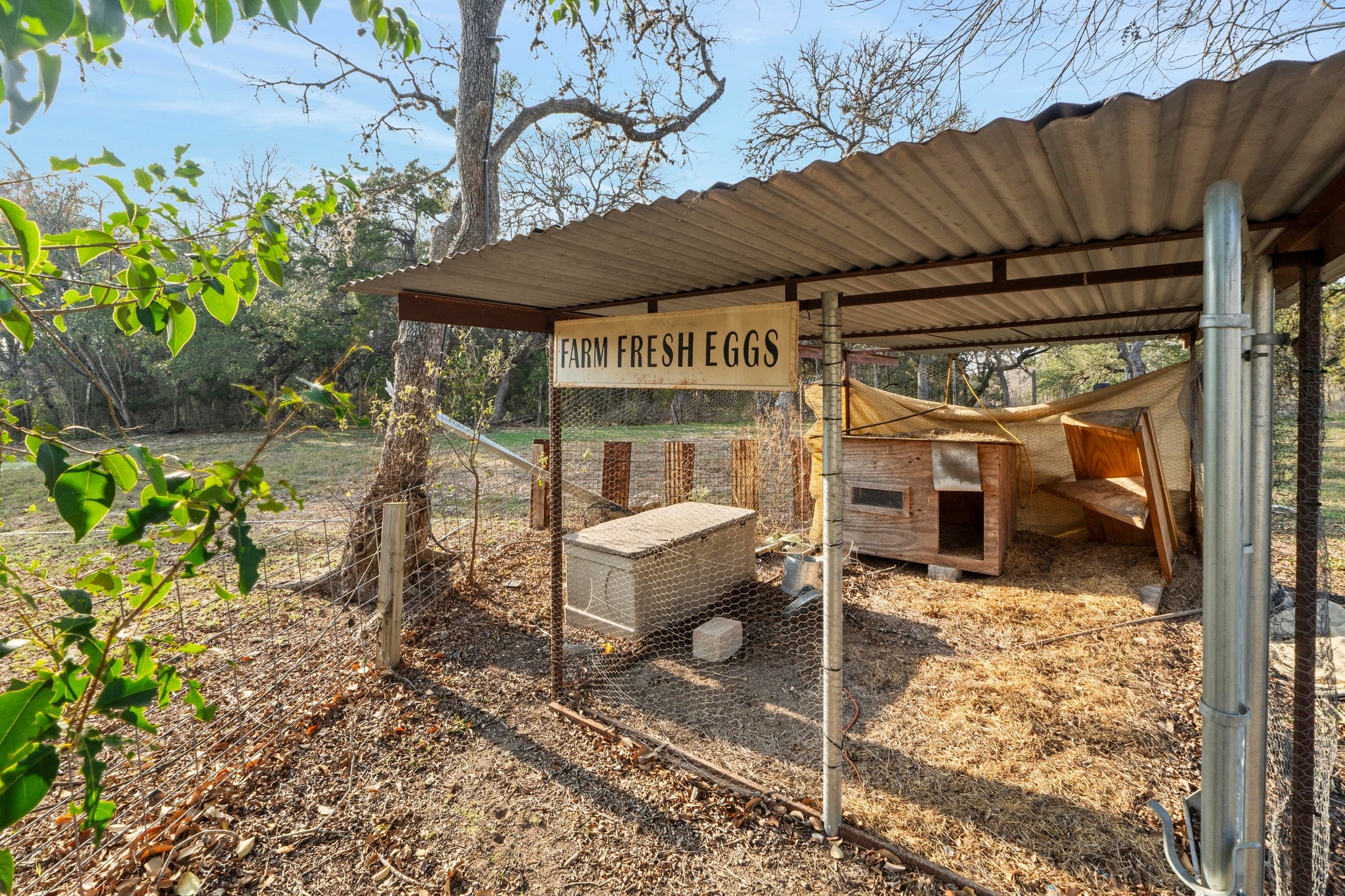 12302 Bethel Church Road Manchaca, TX 78652 - Photo 32 of 35 a view of a patio with table and chairs potted plants