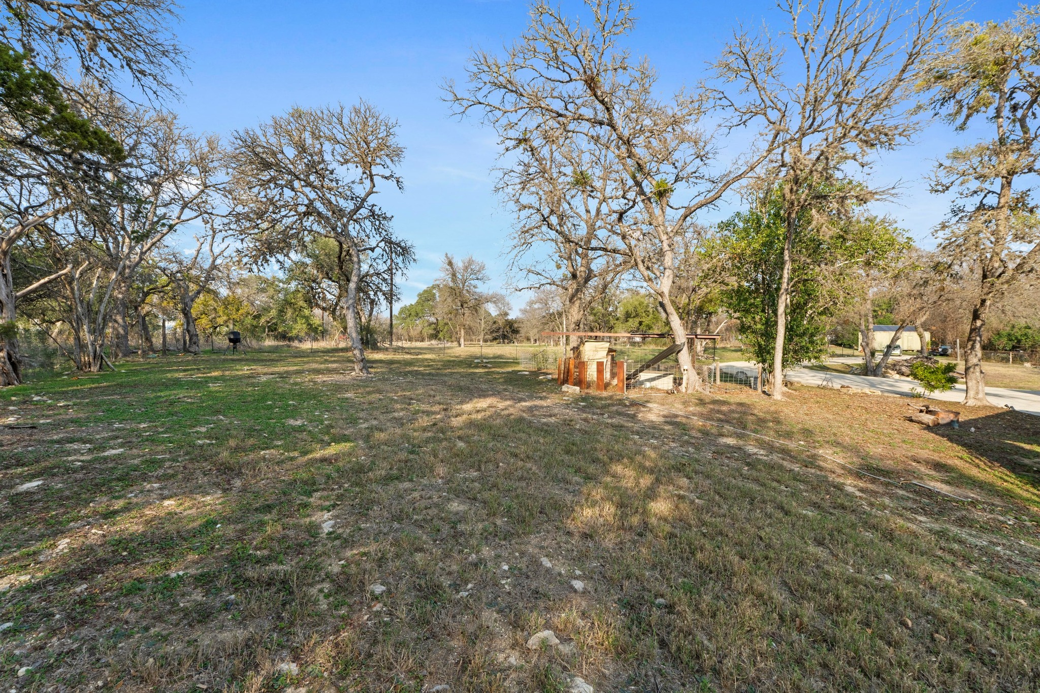 12302 Bethel Church Road Manchaca, TX 78652 - Photo 33 of 35 a view of yard with tree