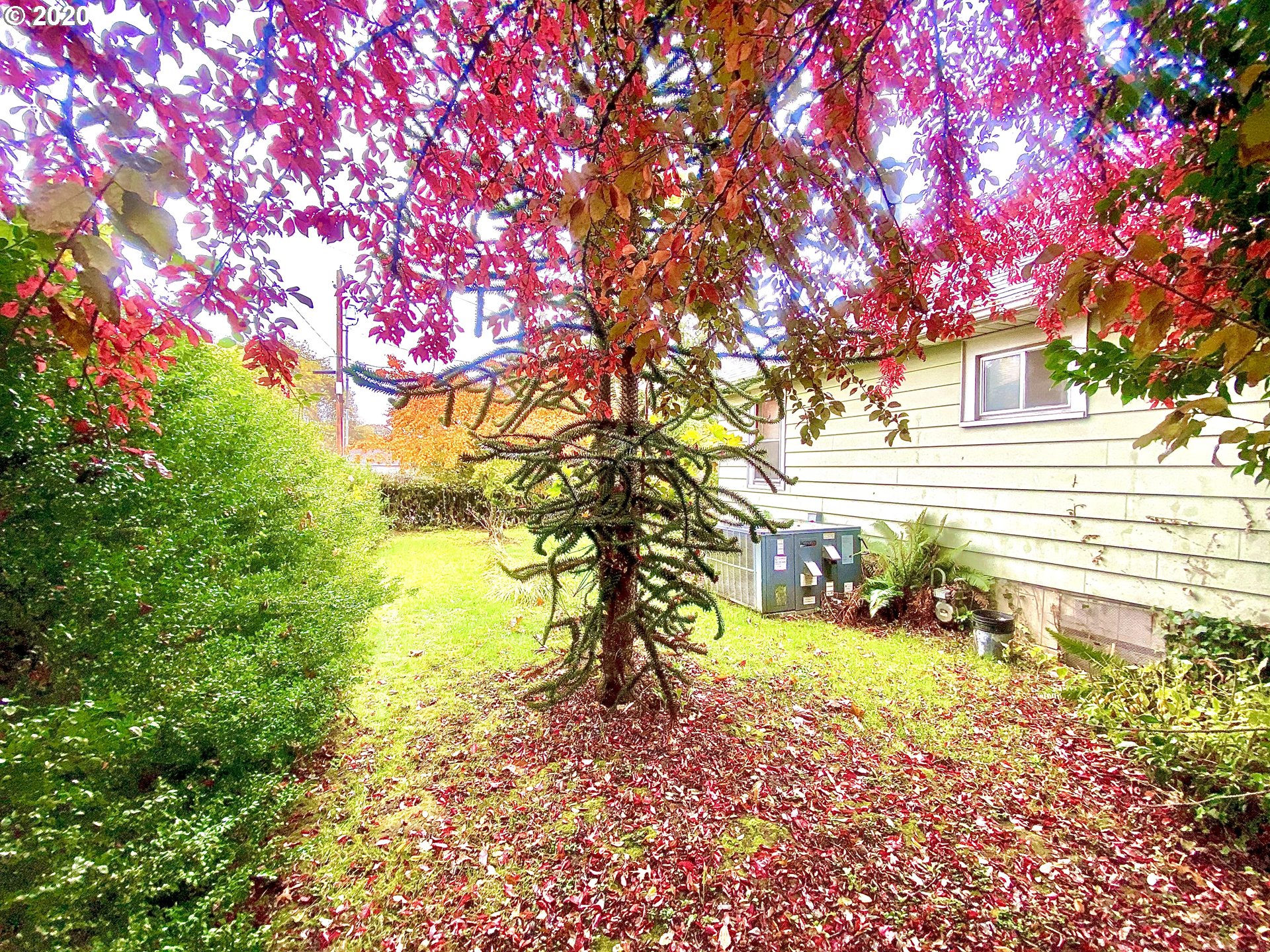 58441 South Division Road St. Helens, OR 97051 - Photo 6 of 32 Gallery Image 6