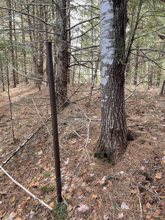 Lot 5 Western Road Robbinston, ME 04671 - Photo 2 of 11 53569_2