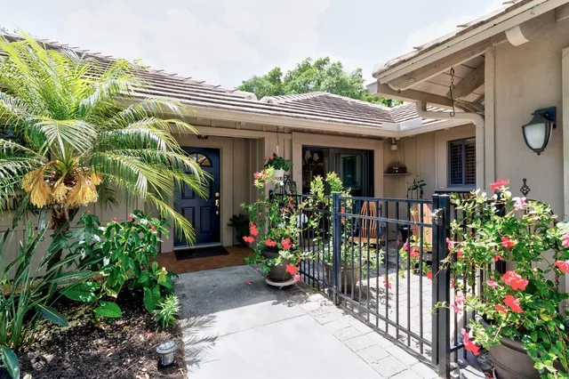 a view of a house with potted plants