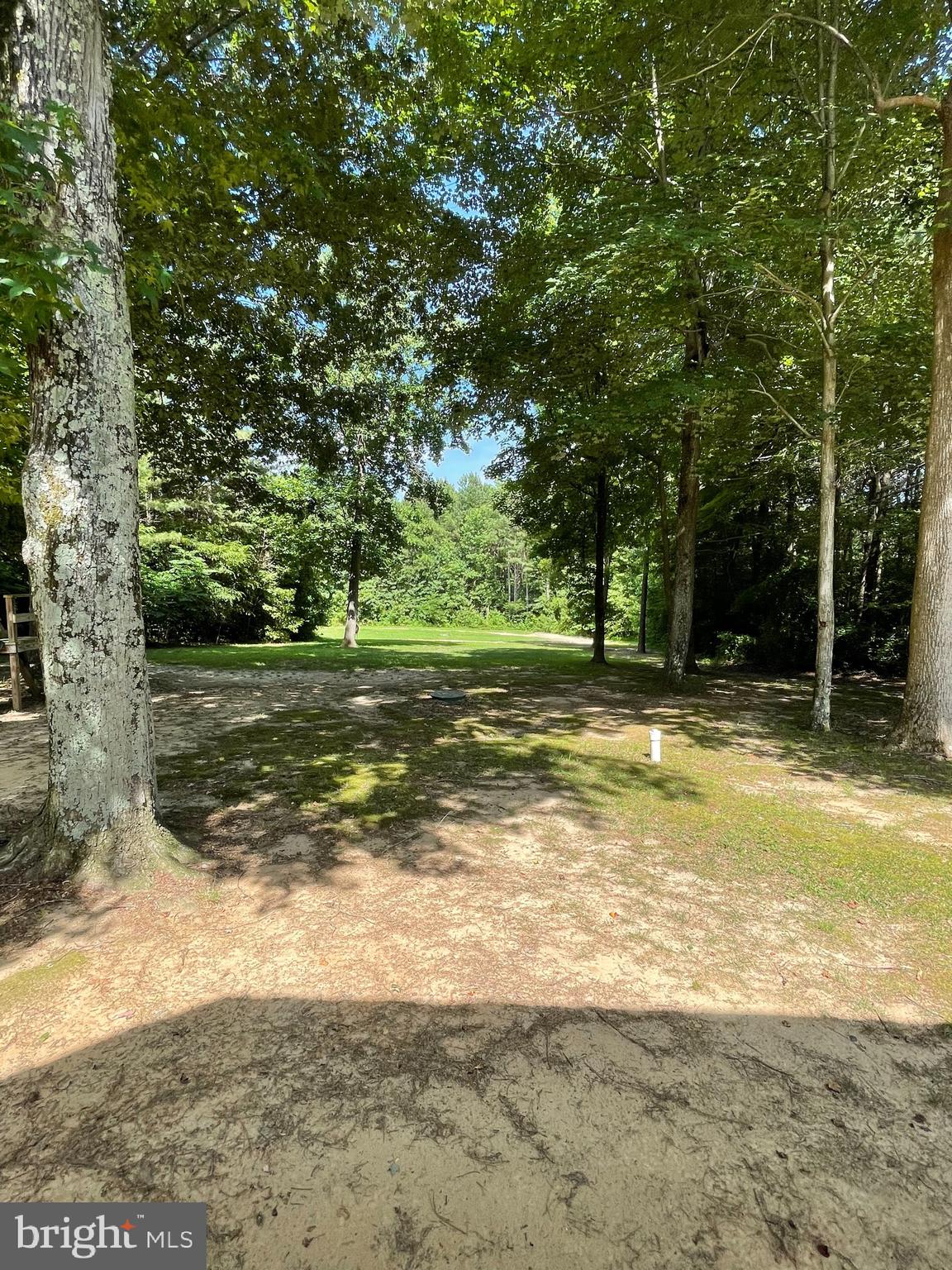7407 Rixey Road King George, VA 22485 - Photo 11 of 29 4 wheeler or walking trails throughout.