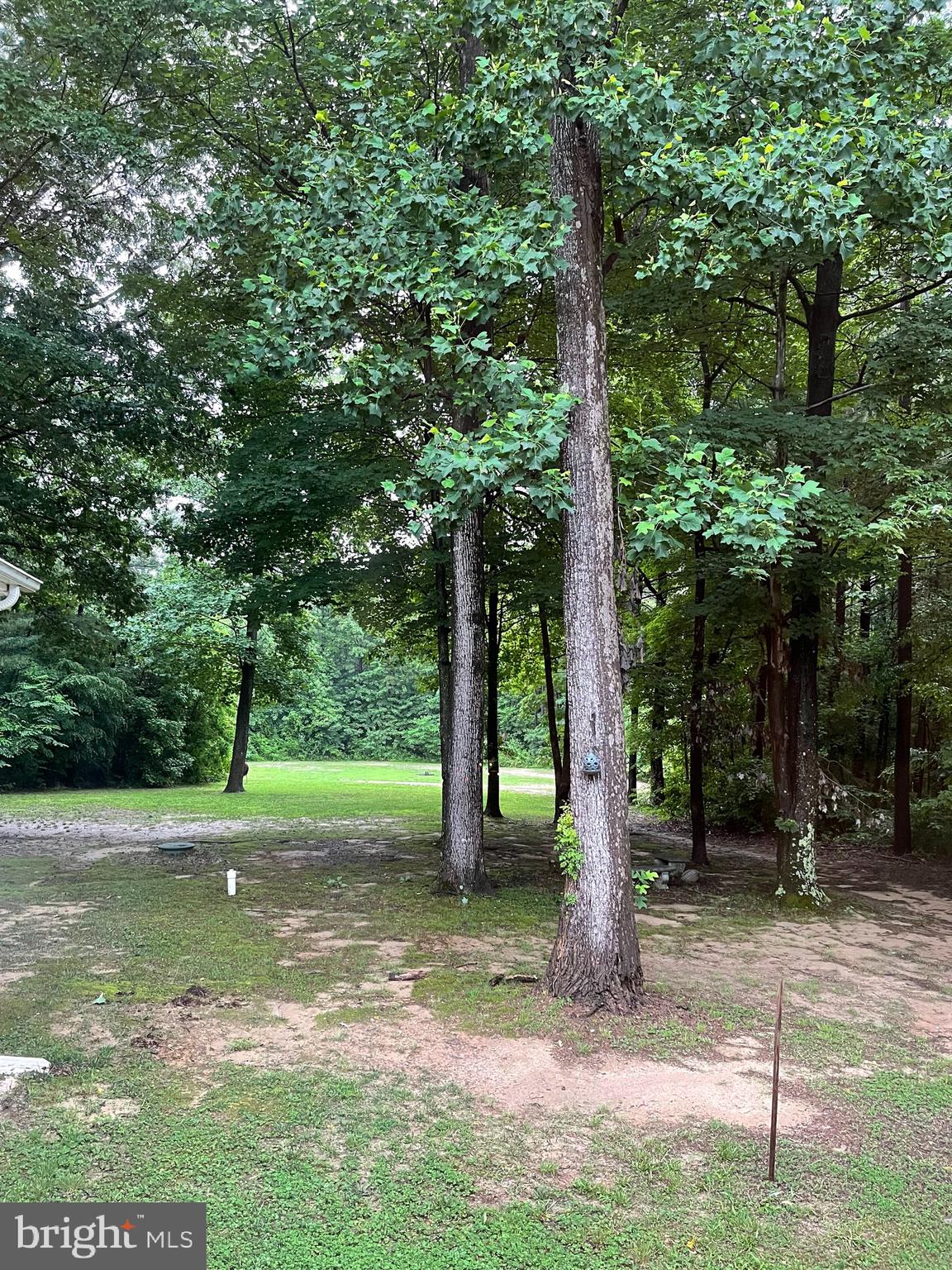 7407 Rixey Road King George, VA 22485 - Photo 4 of 29 Beautiful wooded setting backs up to 40 acres!