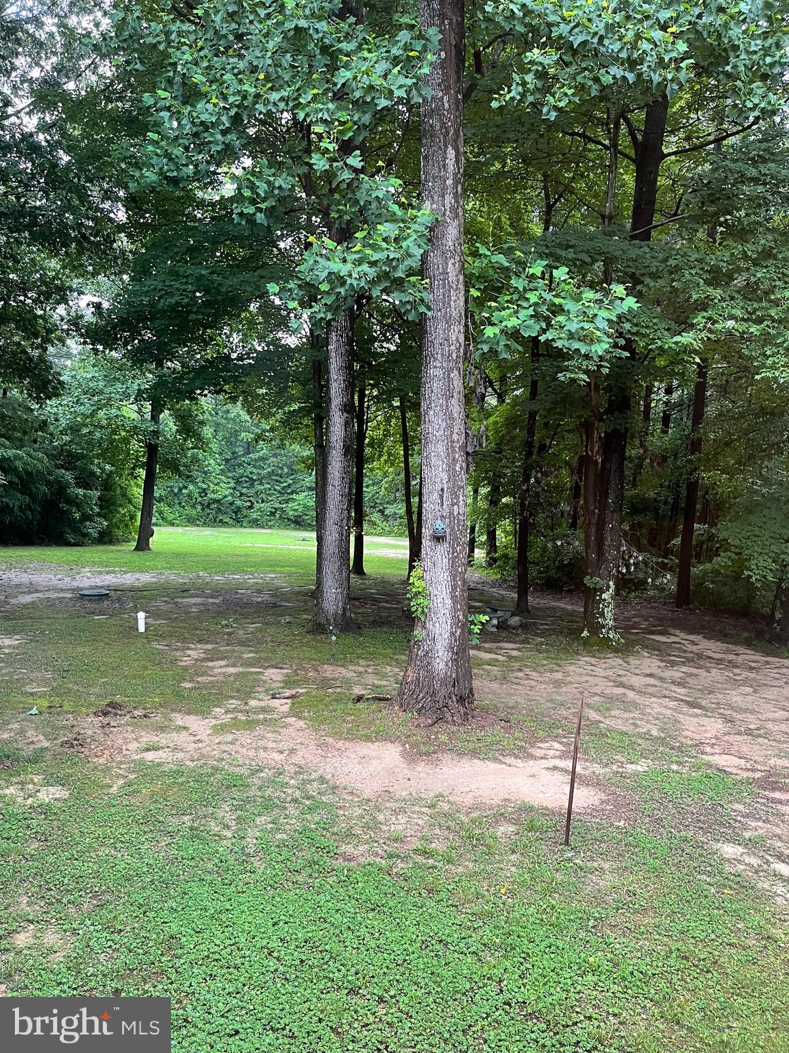 7407 Rixey Road King George, VA 22485 - Photo 5 of 29 Room for all your family’s hobby’s!