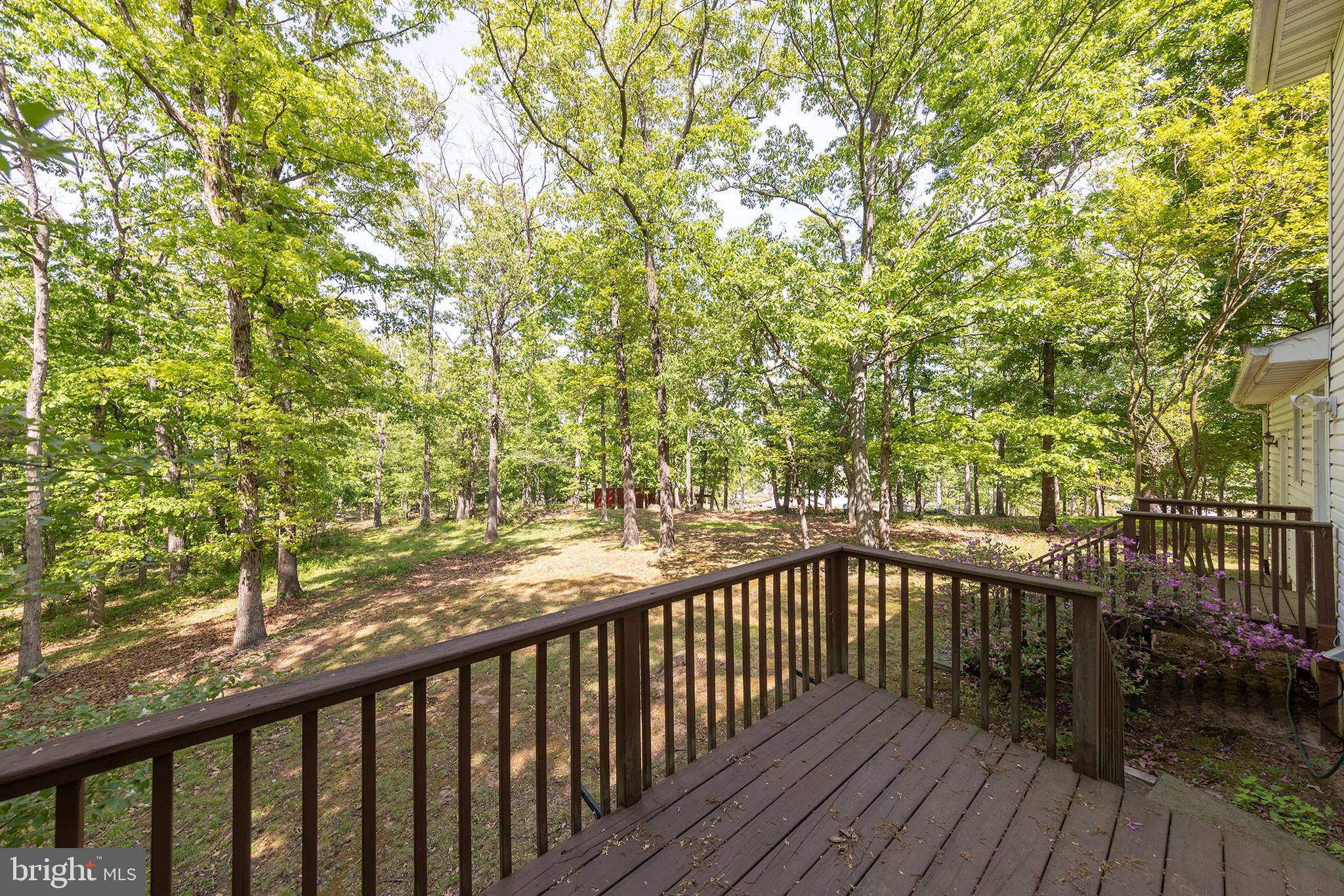 430 Babbs Mountain Road Winchester, VA 22603 - Photo 32 of 42 Rear deck