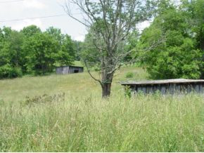 34359 Greertown Road Glade Spring, VA 24340 - Photo 3 of 11 Photo 3