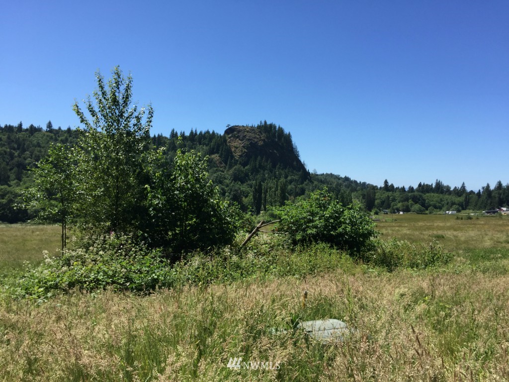 0 Lot 2 Knapp Rd Mount Mount Vernon, WA 98274 - Photo 1 of 10