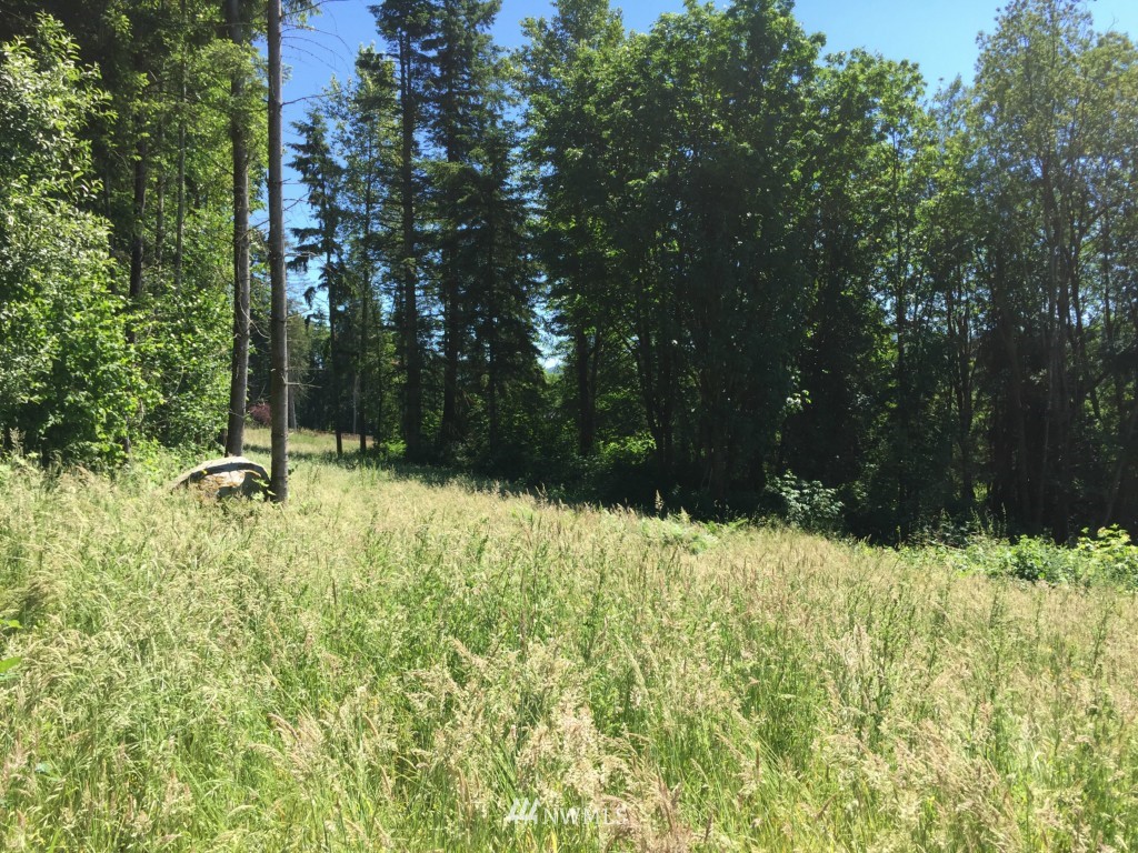 0 Lot 2 Knapp Rd Mount Mount Vernon, WA 98274 - Photo 4 of 10