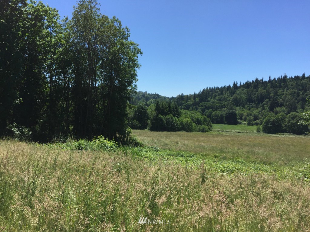 0 Lot 2 Knapp Rd Mount Mount Vernon, WA 98274 - Photo 5 of 10