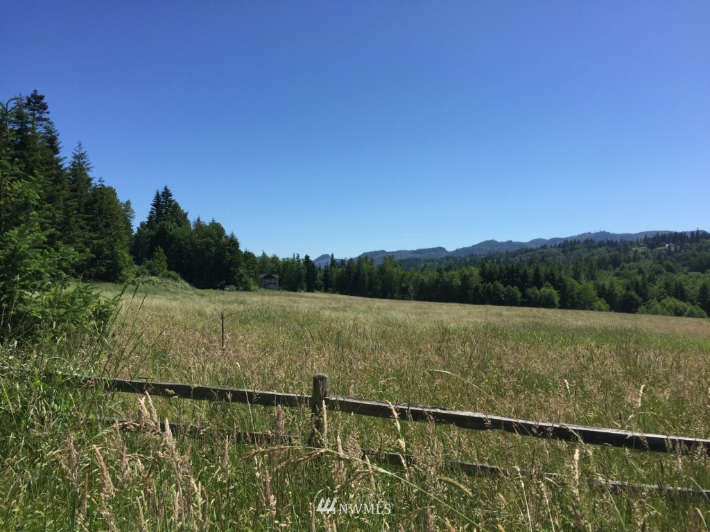 0 Lot 2 Knapp Rd Mount Mount Vernon, WA 98274 - Photo 6 of 10