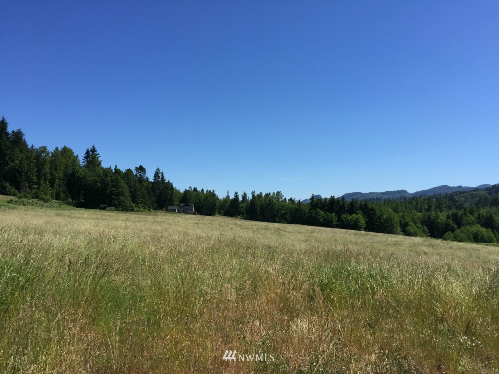 0 Lot 2 Knapp Rd Mount Mount Vernon, WA 98274 - Photo 8 of 10